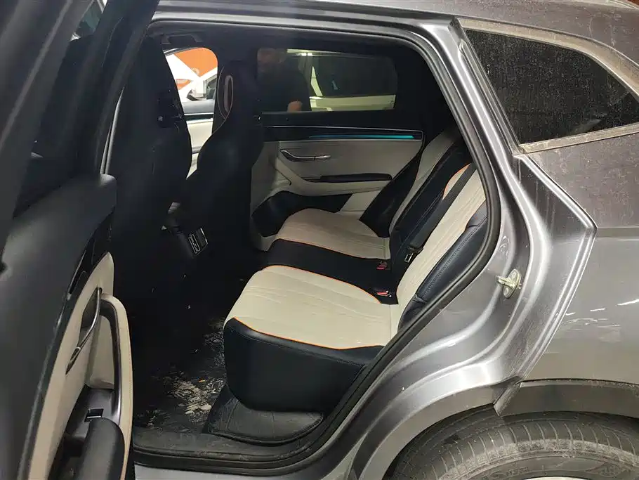 BYD PLUS New Energy 2023 — фото 11