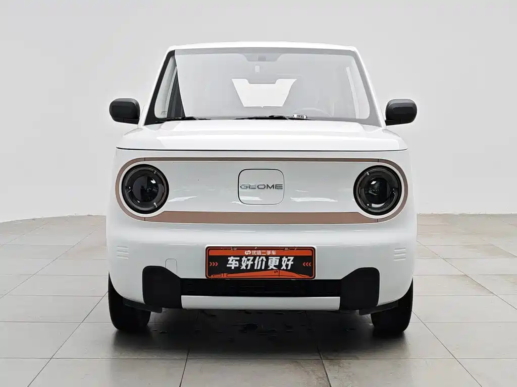 Geely Galaxy Panda 2024