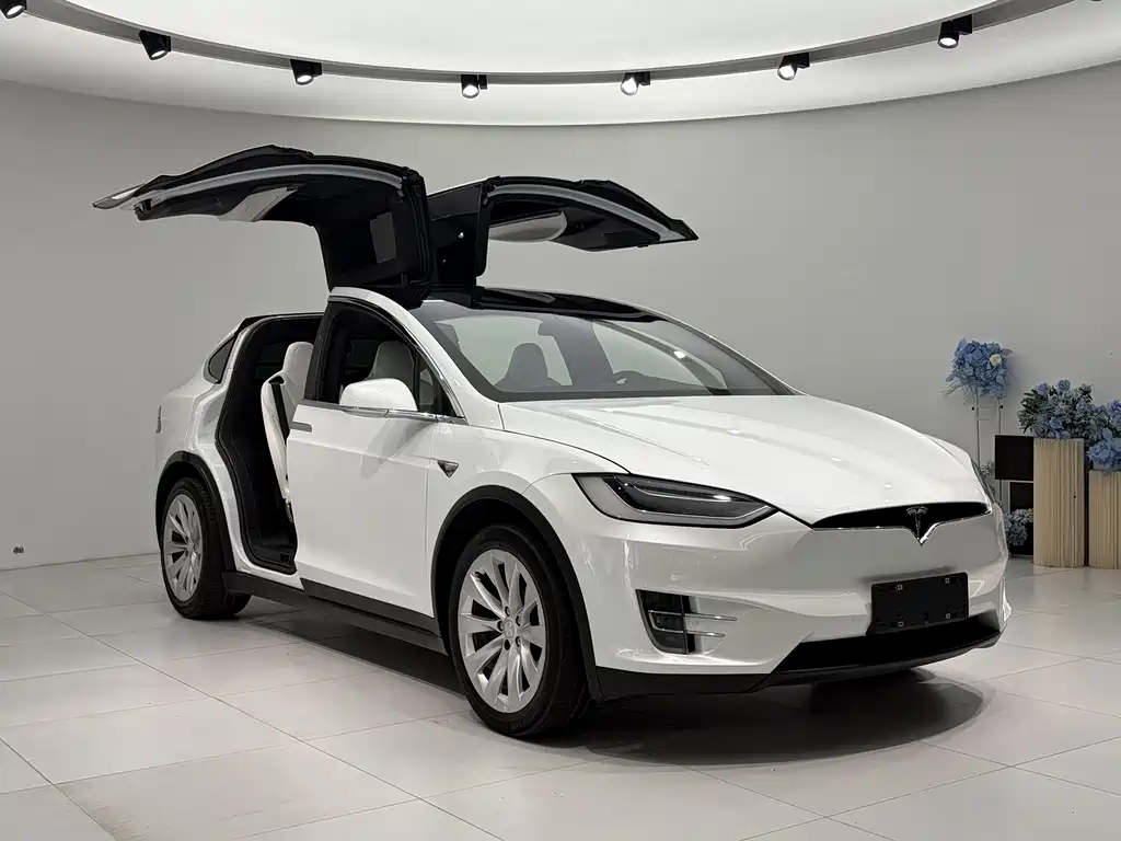 Tesla Model X 2019