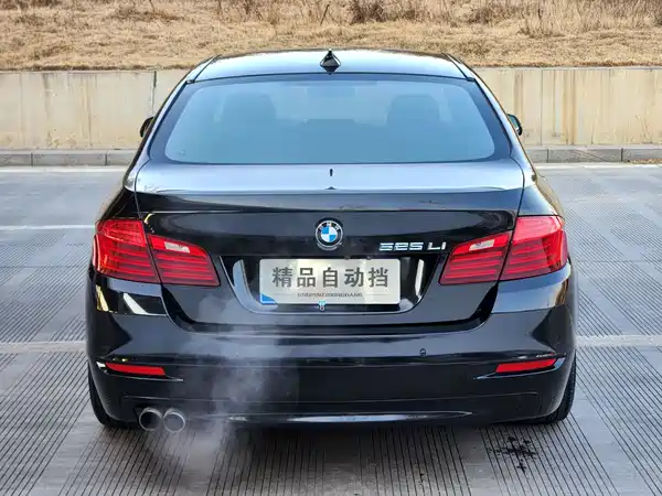 BMW 5 Series 2014