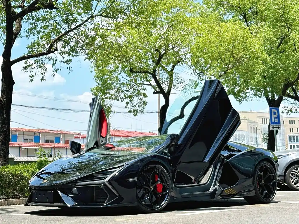 Lamborghini Revuelto 2025 — фото 13