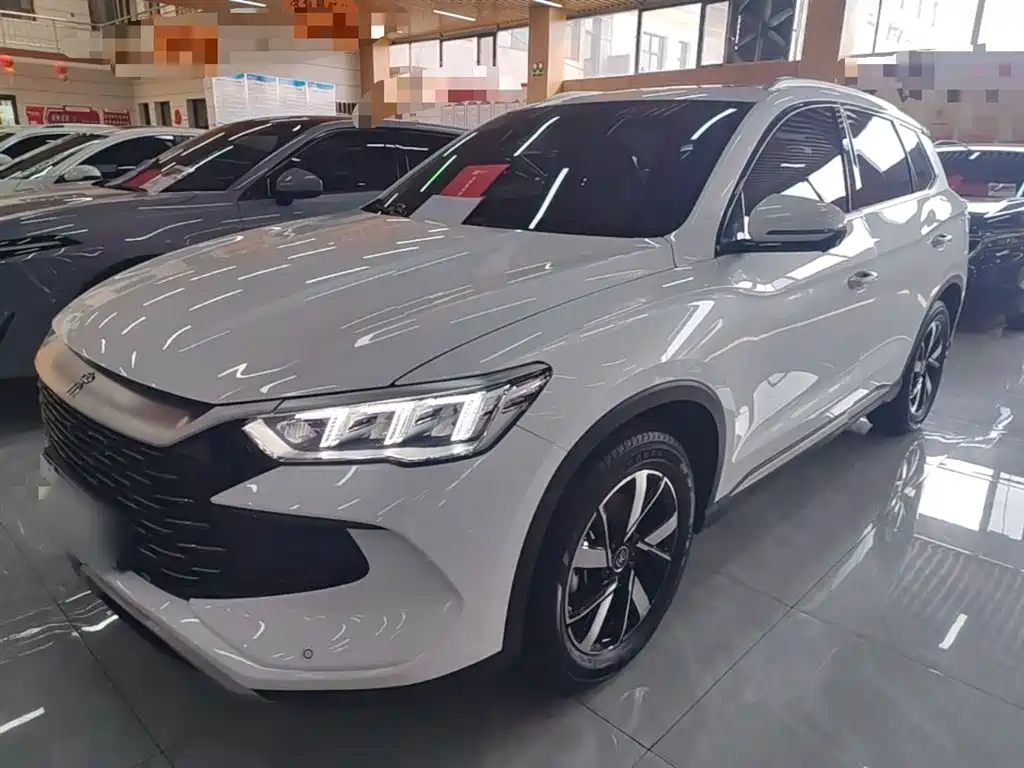 BYD Pro New Energy 2024 — фото 2