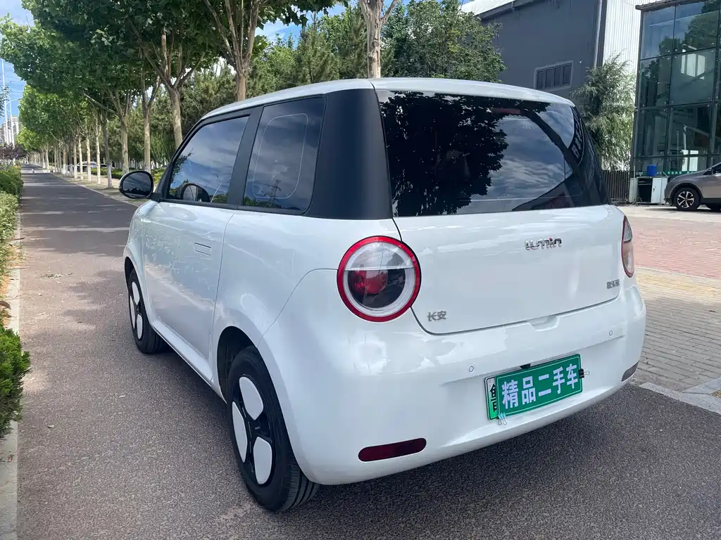 Qiyuan Lumin 2024