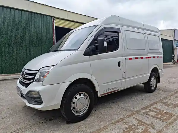 Maxus V80 2019