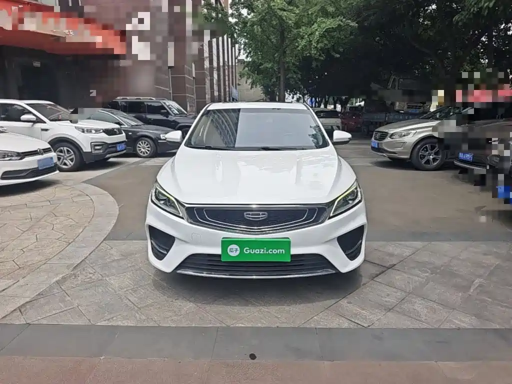 Geely Binrui 2019