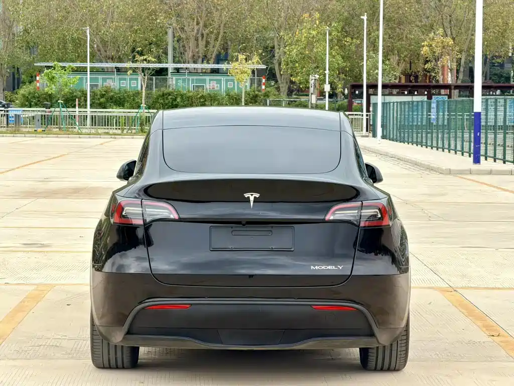 Tesla Model Y 2023 — фото 6