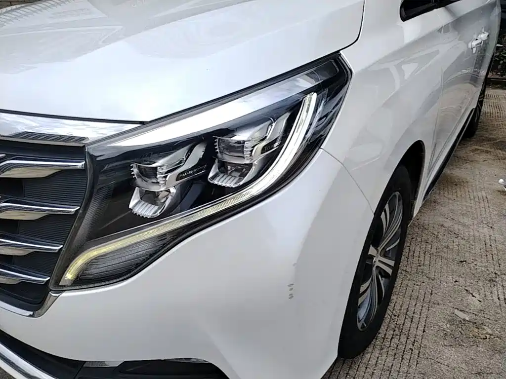 GAC Trumpchi M8 2019 — фото 24