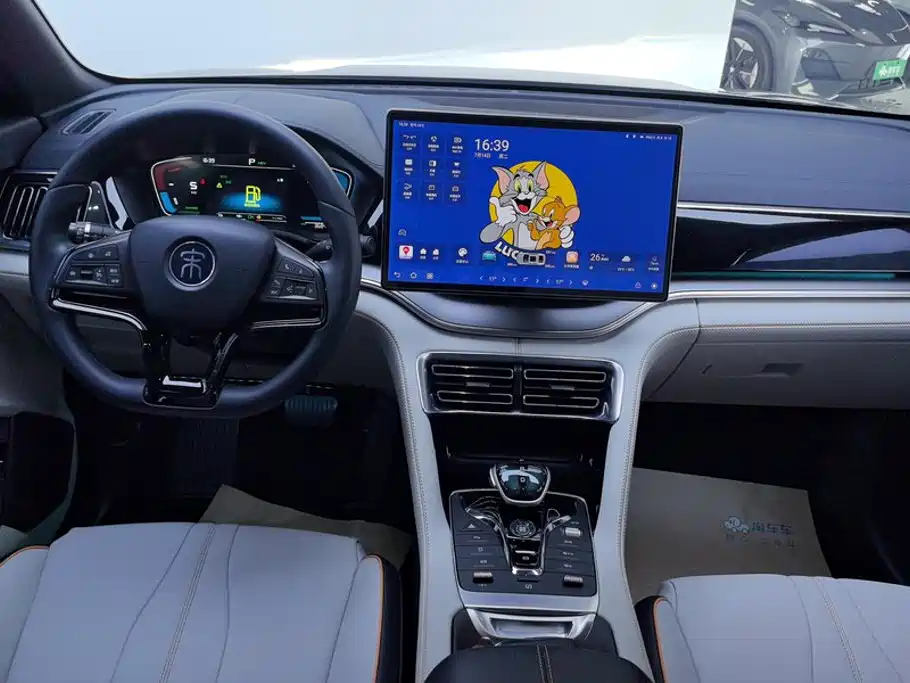 BYD Song PLUS New Energy 2023 — фото 12
