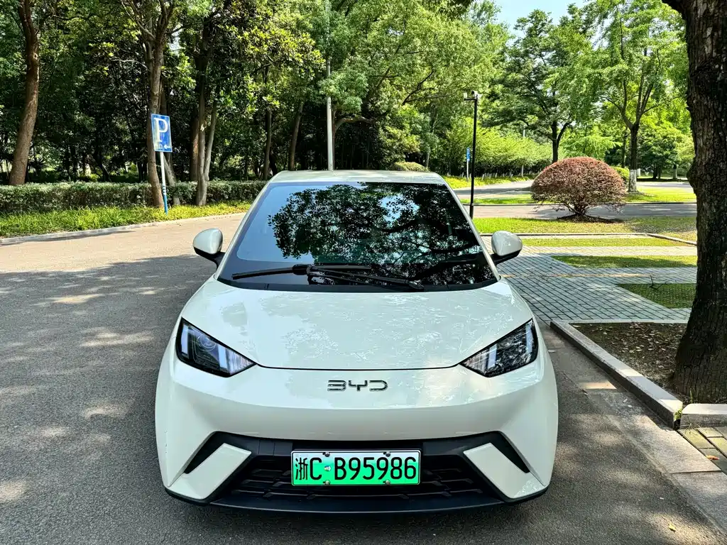 BYD Seagull 2024