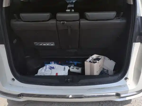 Honda Elysion 2022