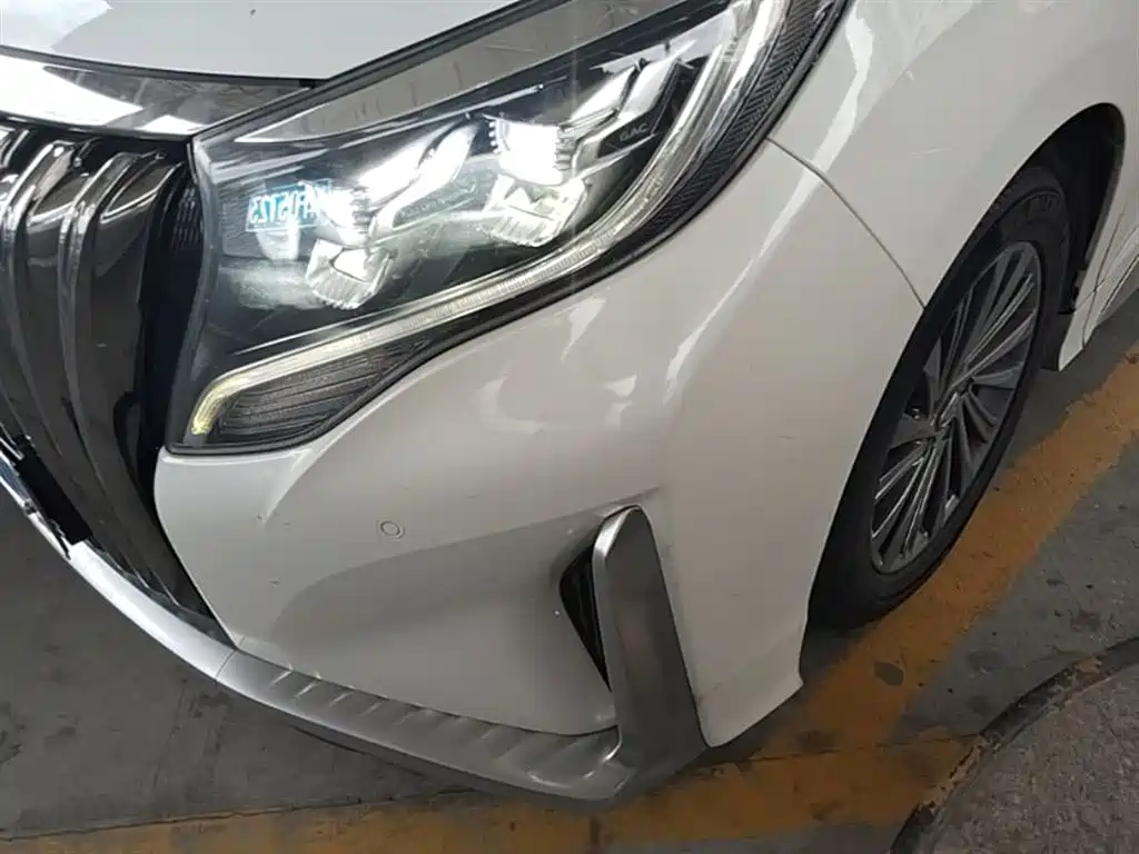 GAC Motor Trumpchi M8 2020 — фото 24