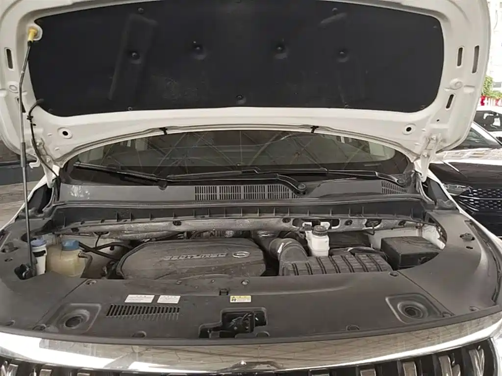 GAC Motor Trumpchi M8 2020 — фото 20