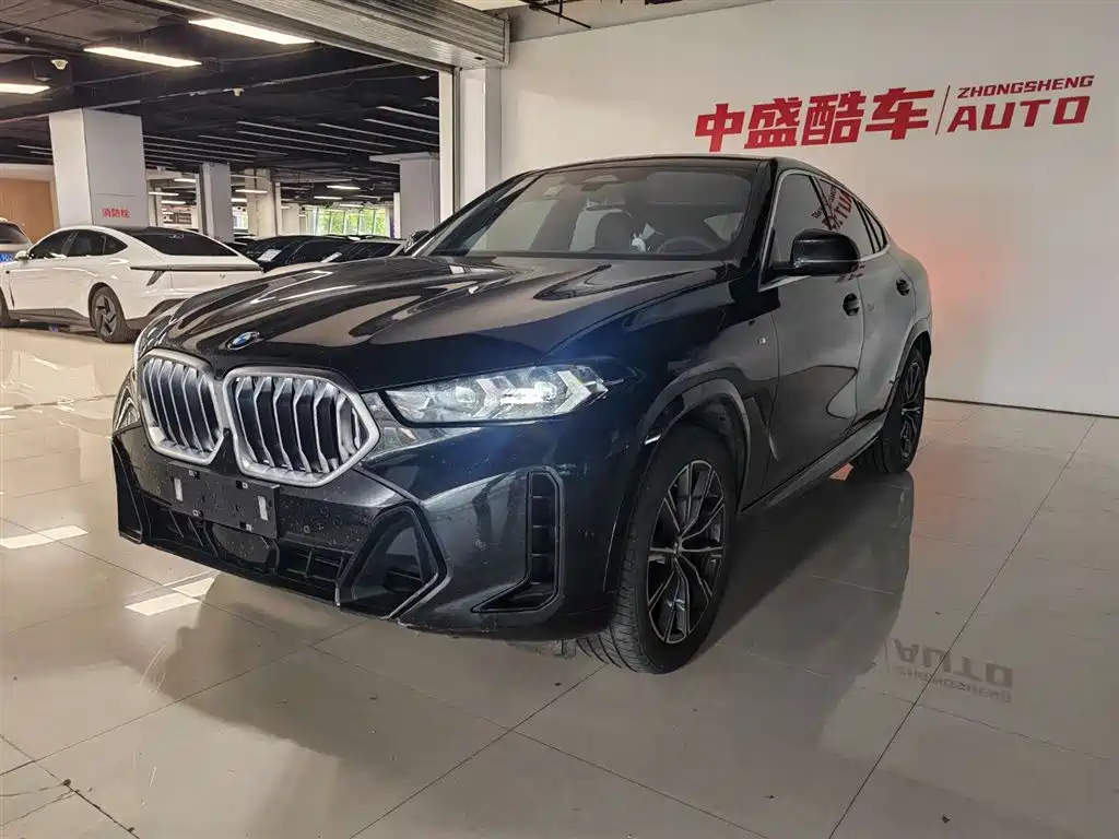 BMW X6 2024