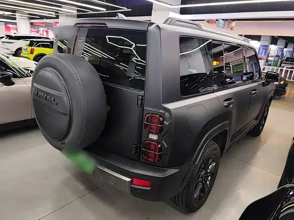 Haval Raptors New Energy 2024