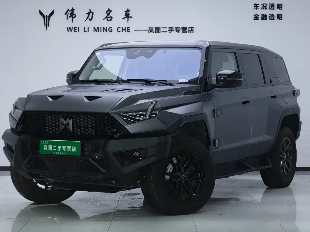 Mengshi 917 2024