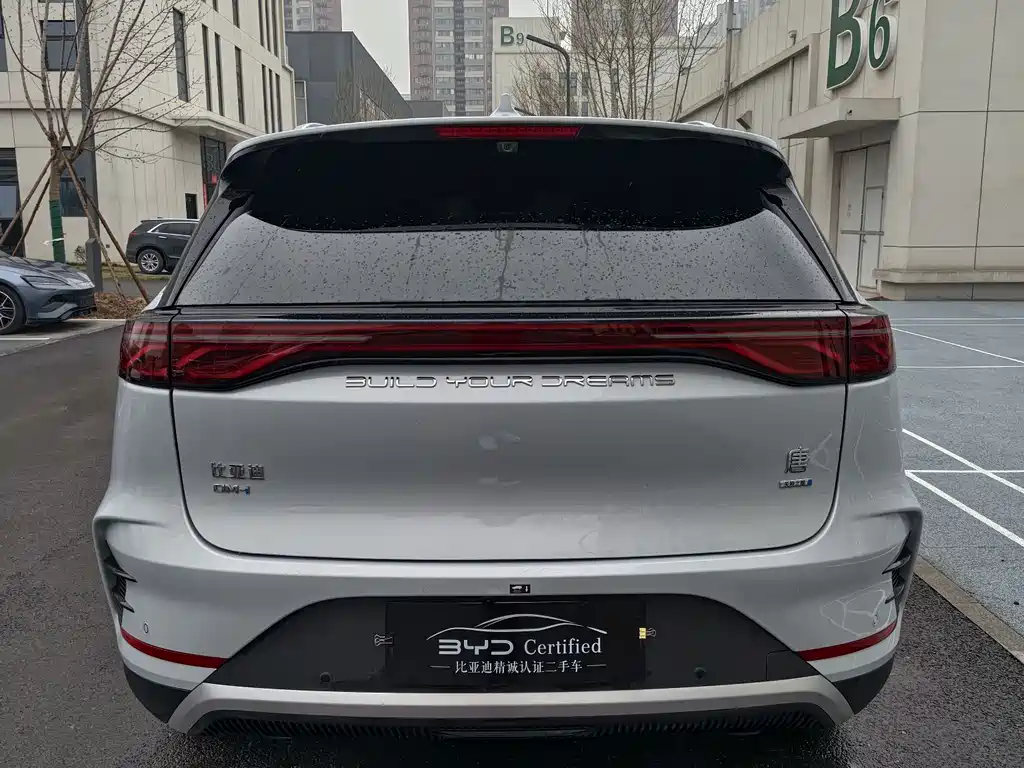 BYD Tang New Energy 2025 — фото 10
