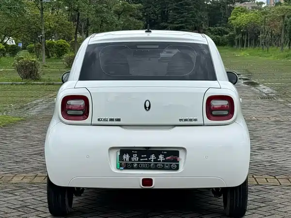 Ora Black Cat 2021