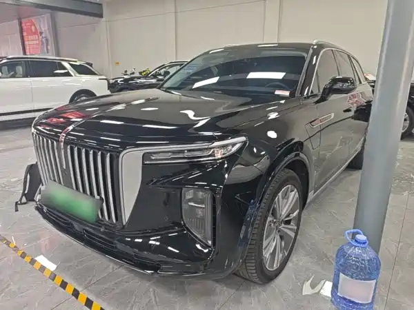 Hongqi E-HS9 2023