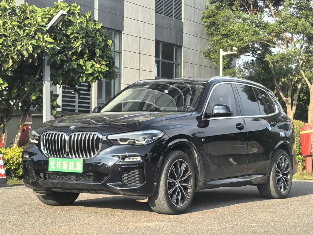 BMW X5 New Energy 2020