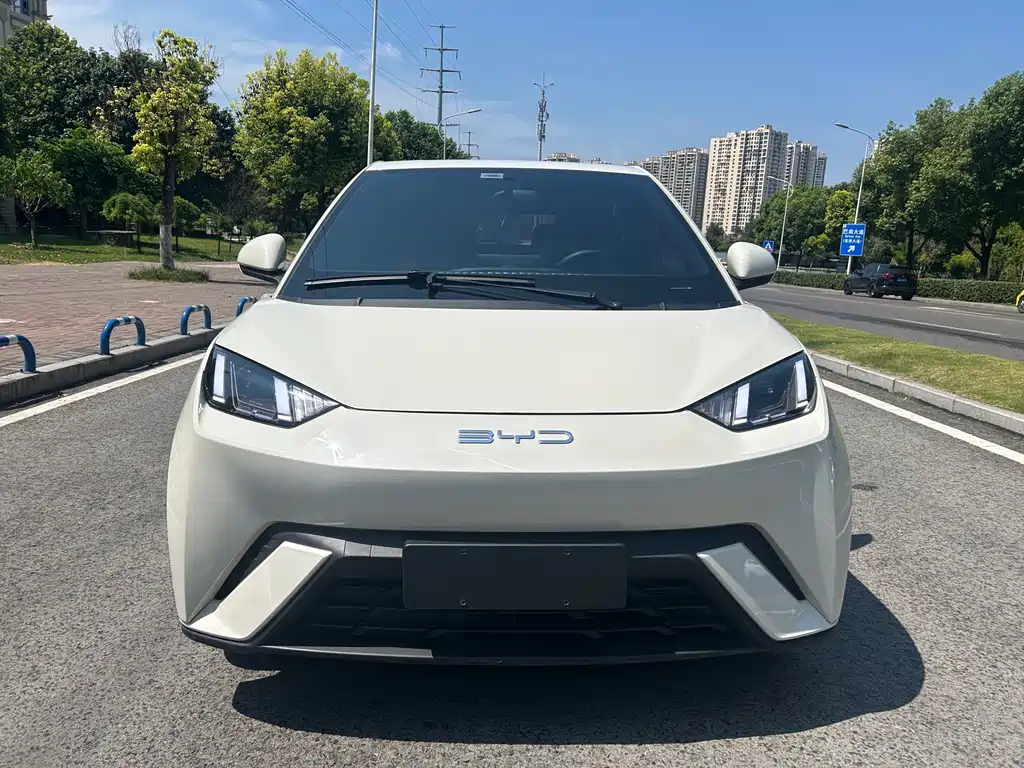 BYD Seagull 2023 — фото 2