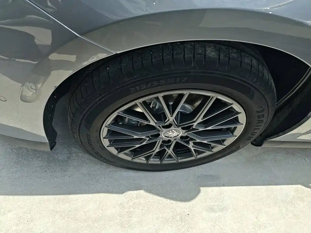 BYD Qin PLUS 2025 — фото 23
