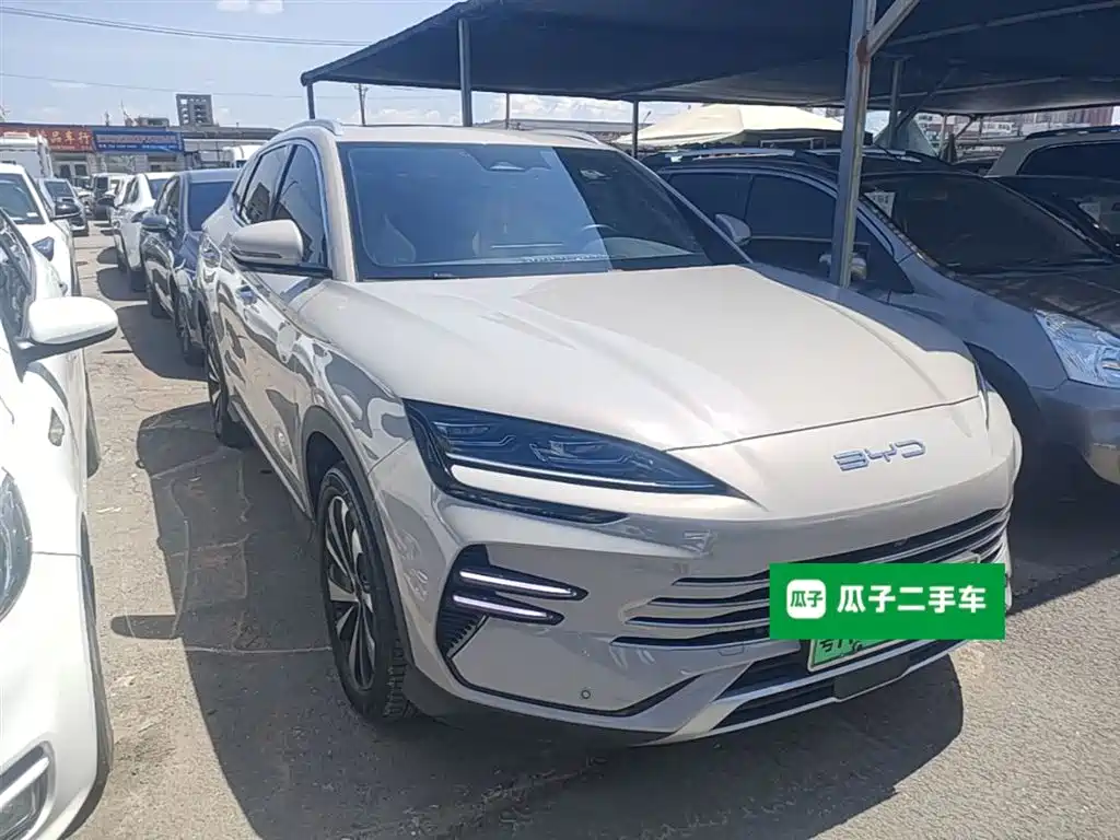 BYD PLUS New Energy 2023 — фото 4