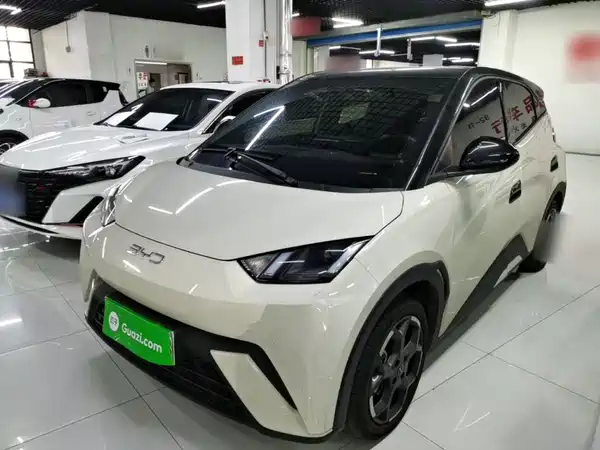 BYD Seagull 2024