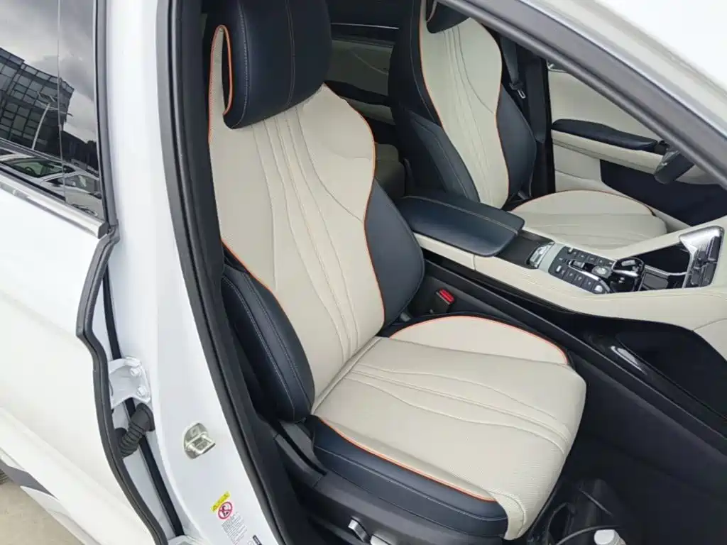 BYD Song PLUS New Energy 2023 — фото 25