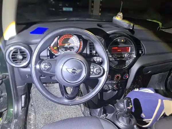 MINI MINI 2018