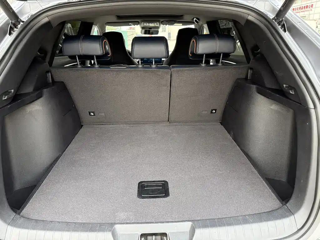 BYD PLUS New Energy 2022 — фото 12