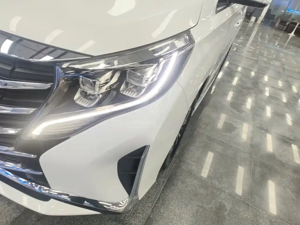 GAC Motor Trumpchi M8 2024 — фото 24