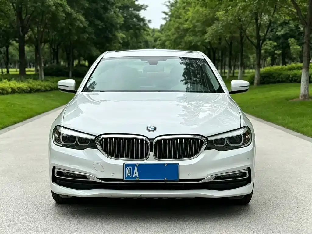 BMW 5 Series 2019