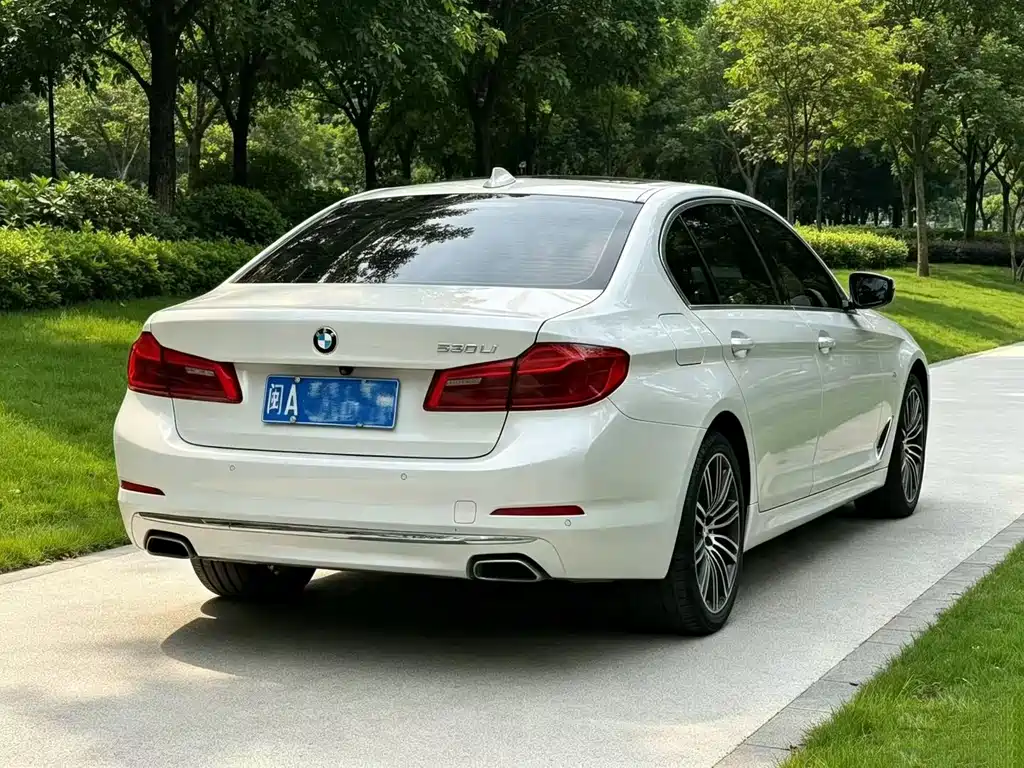 BMW 5 Series 2019