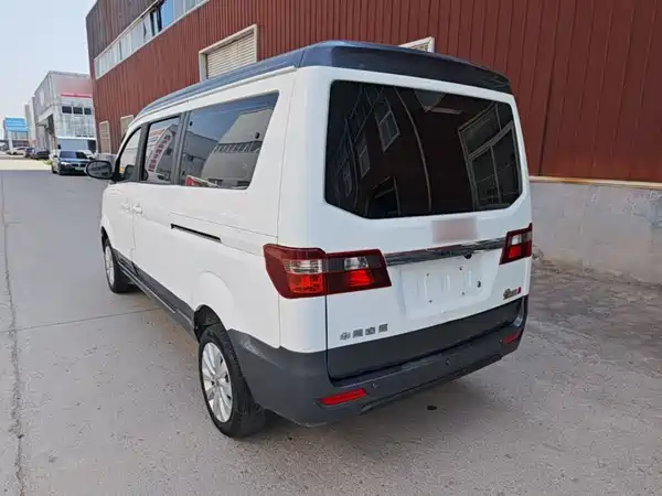Jinbei Golden Sea Lion M Classic 2022