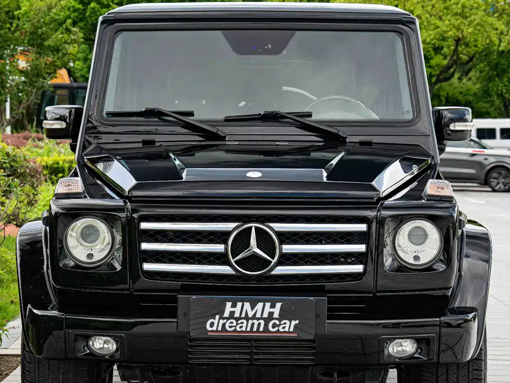 Mercedes-Benz G-Class AMG 2010 — фото 2