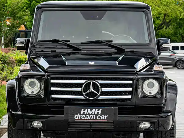 Mercedes-Benz G-Class AMG 2010