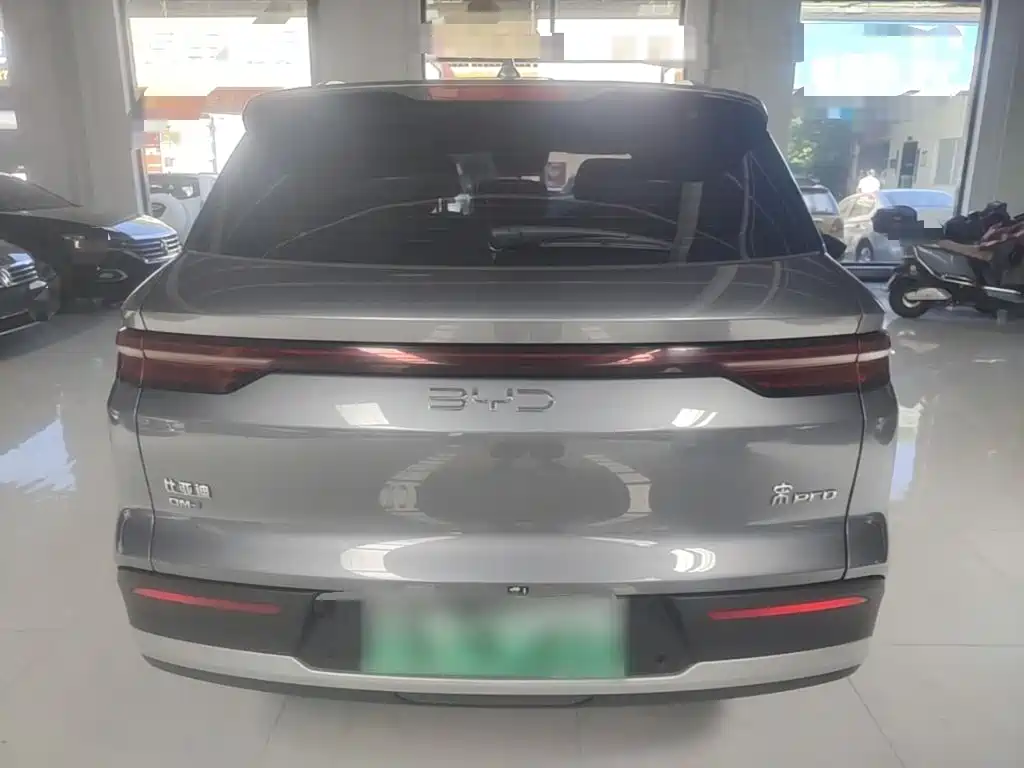 BYD Pro New Energy 2024 — фото 6