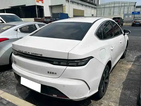 BYD Destroyer 05 2024