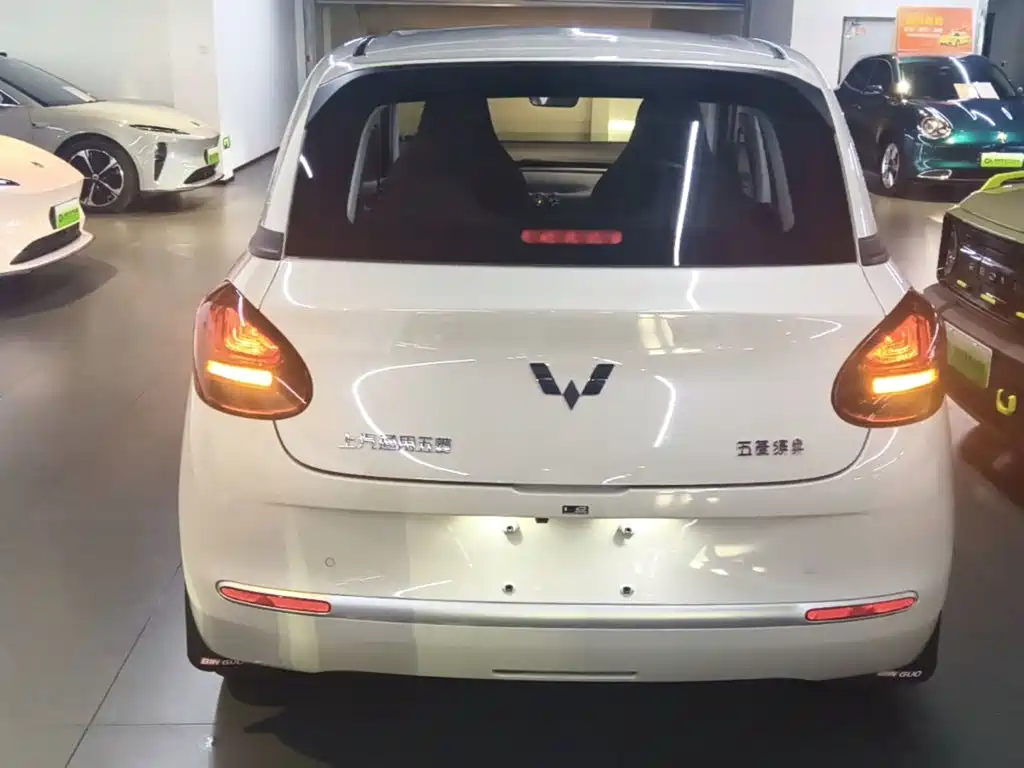 Wuling Bingo 2024