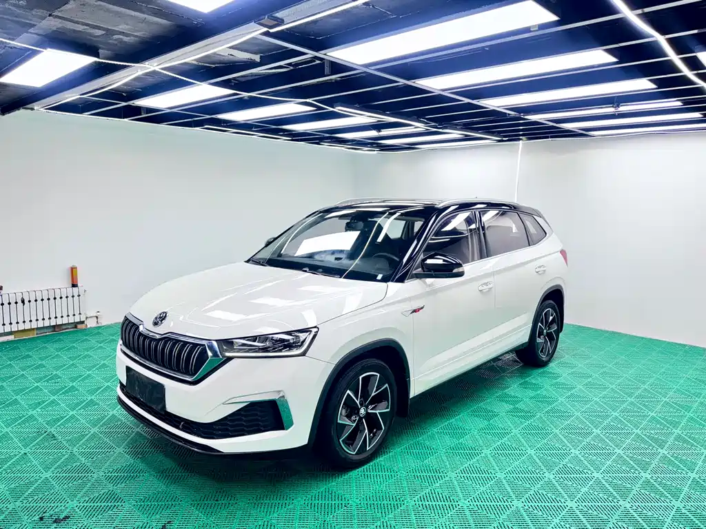 Skoda Kamiq 2022 — фото 1
