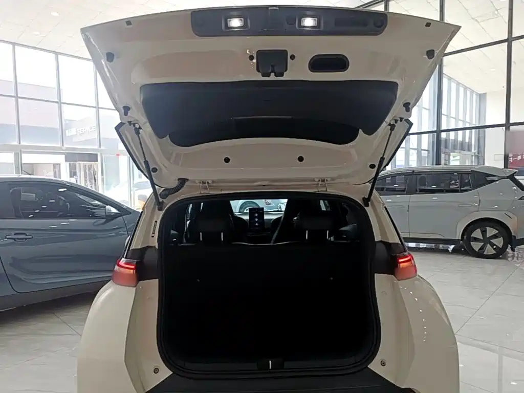 BYD Seagull 2024 — фото 19