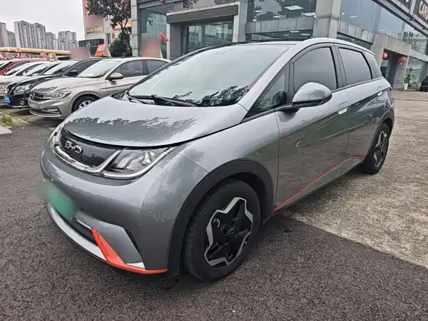 BYD Dolphin 2021