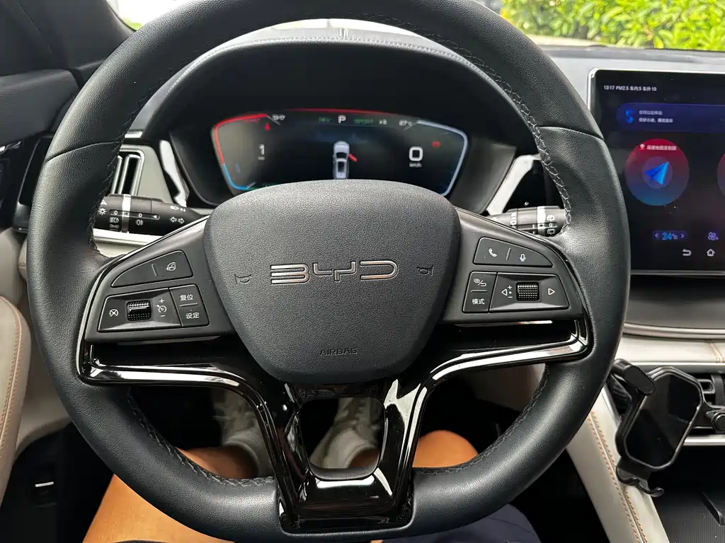 BYD Song PLUS New Energy 2024 — фото 18