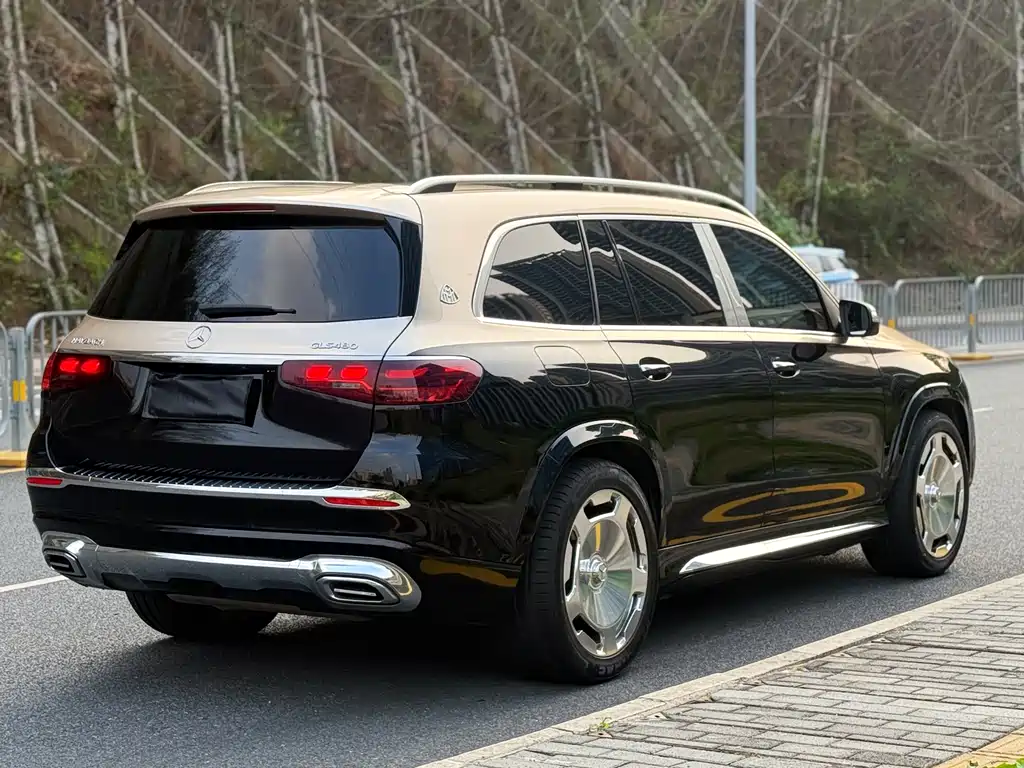 Mercedes-Benz GLS 2025 — фото 13