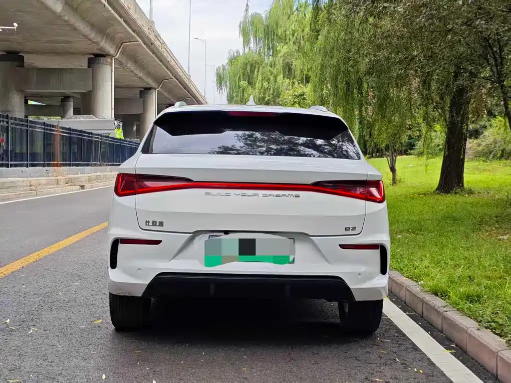 BYD e2 2019