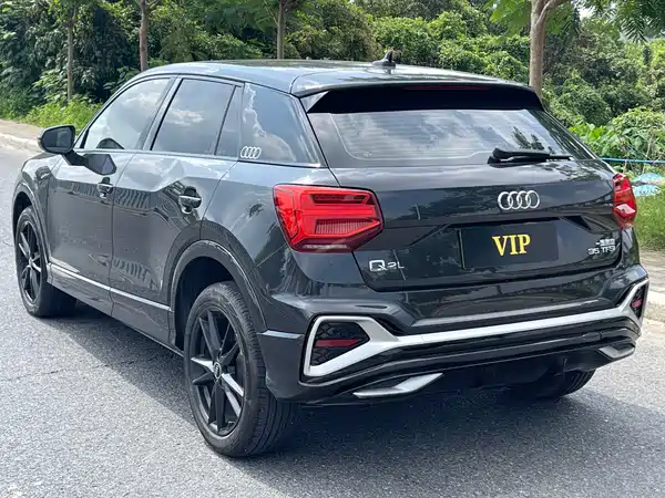 Audi Q2L 2022