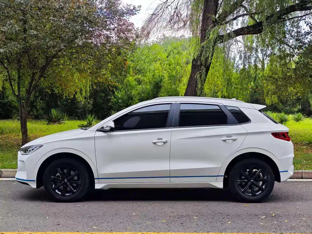 BYD e2 2019