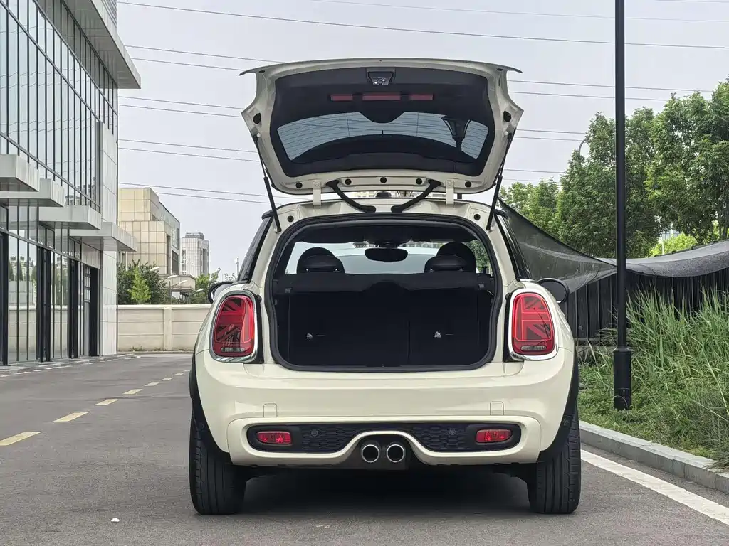 MINI MINI 2020