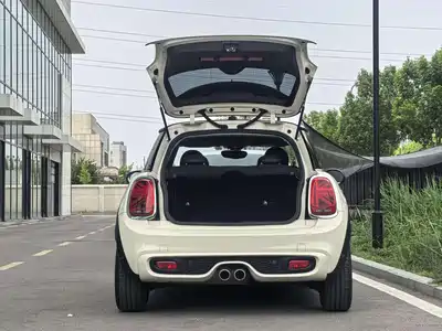 MINI MINI 2020
