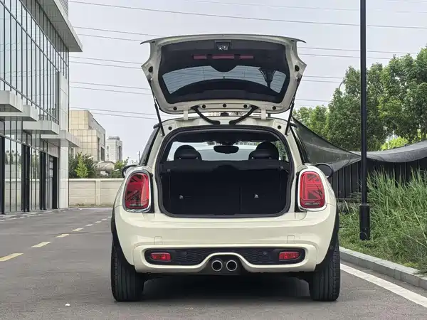 MINI MINI 2020